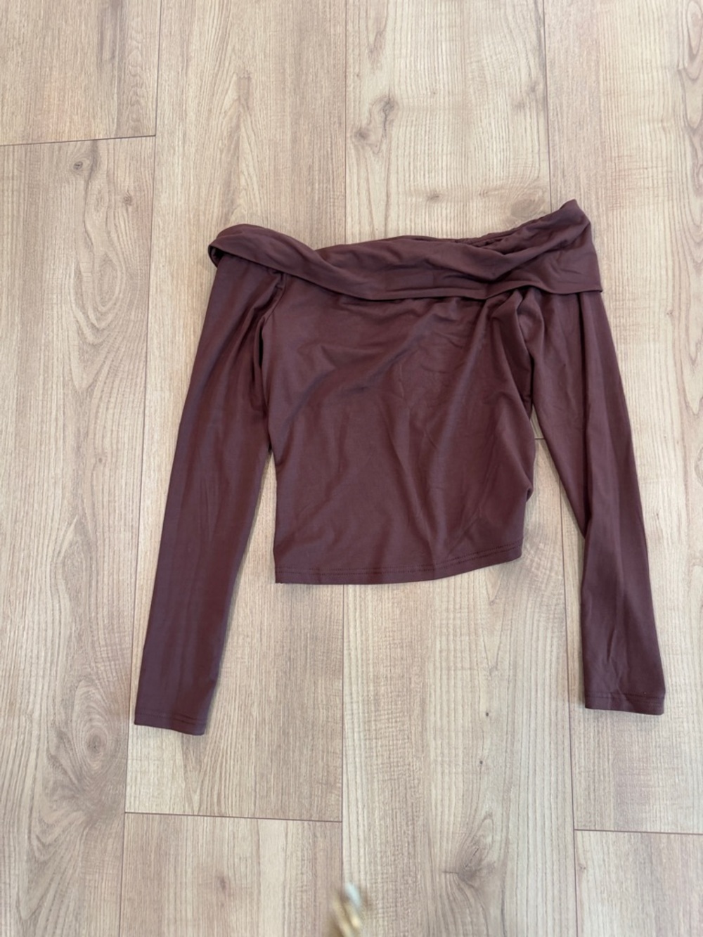 Pretty Garden  Off-The-Shoulder Long Sleeve Top - Chocolate Brown
